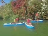 Noleggio attrezzatura SUP nel fiume Guadalquivir 2 ore