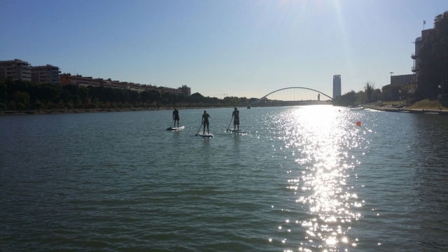  SUP on the Guadalquivir river 