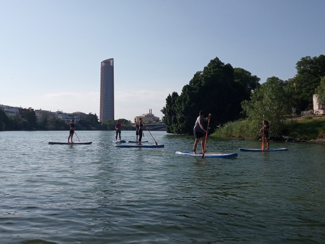Advancing through the river with SUP boards 