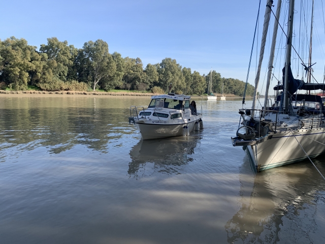 Paseo en barco por el Guadalquivir