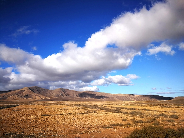  Interior landscape 