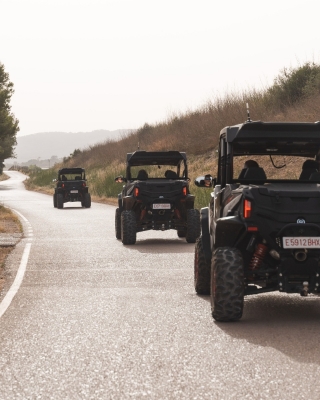 Buggy route 4 pax to the Monastery of Bonany, 3.5h