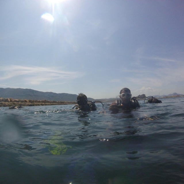  Plongeurs à la surface de la mer 