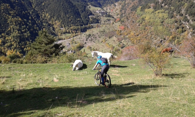  Sur le parcours BBT 