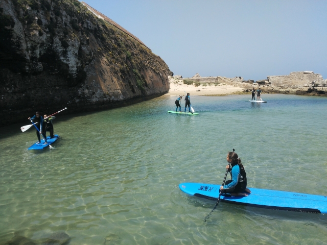 On the paddle surf board 