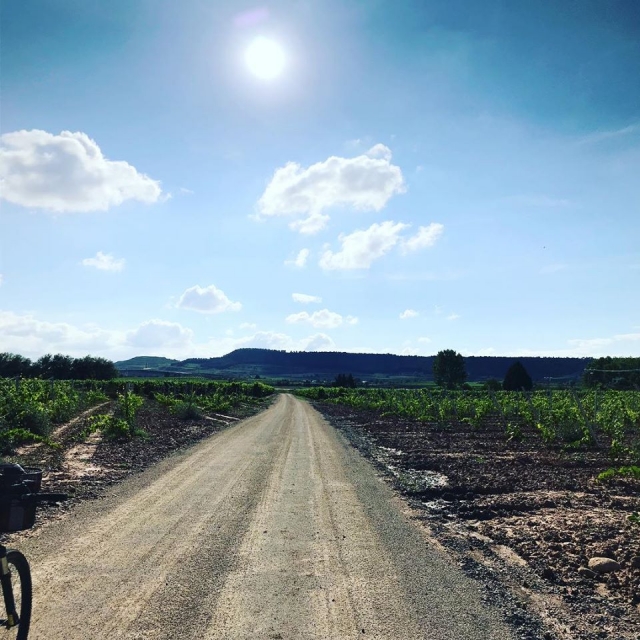 Bike ride through the vineyards 