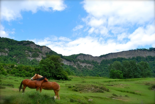  Paysages de Collsacabra 