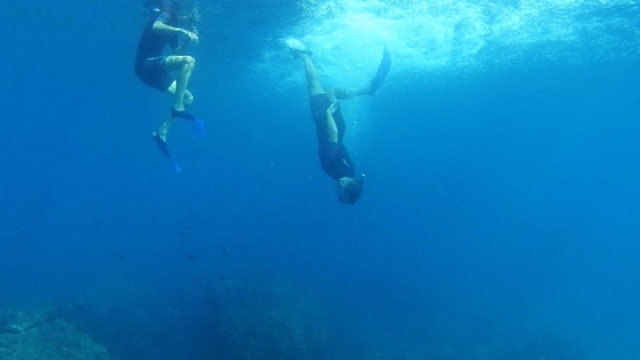  Snorkeling in Cerro Gordo 