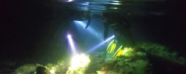 Explorando el fondo marino de noche