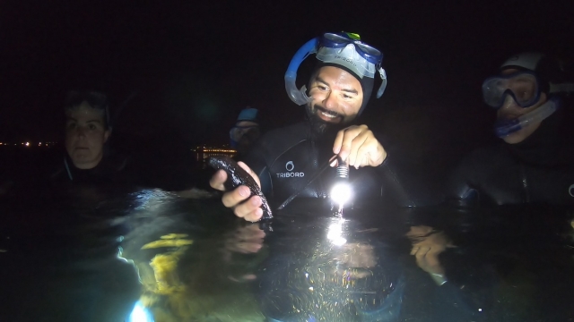 Snorkel nocturno en Cantabria