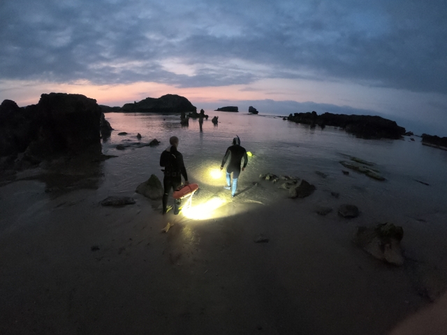  Itinéraire de plongée en apnée nocturne guidé 
