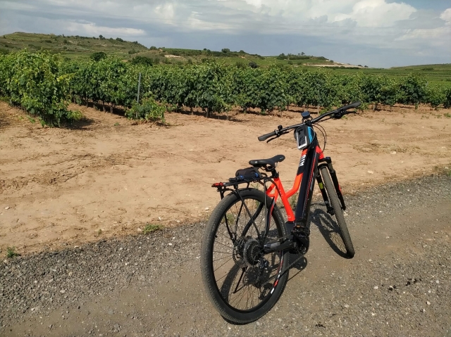 Ruta de bicicleta eléctrica por La Rioja