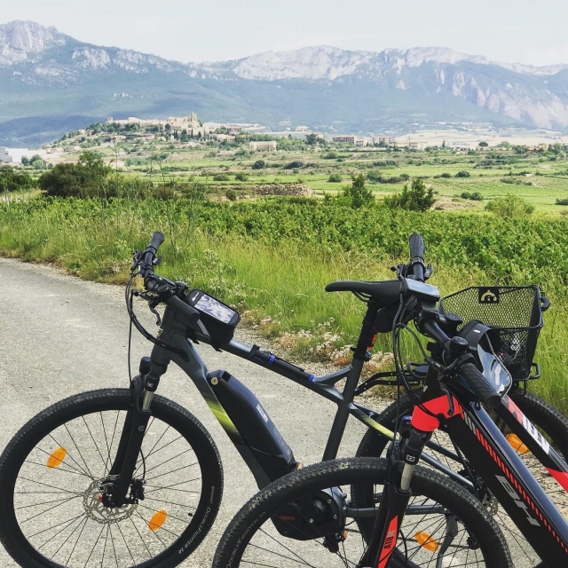 Paisaje de La Rioja en bicicletas de cerro eléctricas