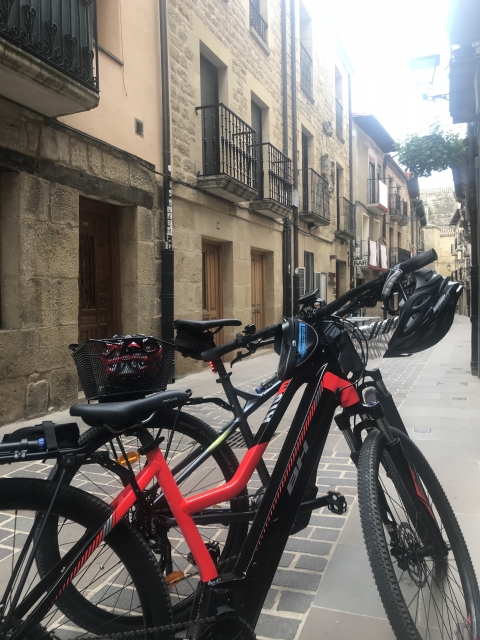 Paseo en mountain bike eléctrica por La Rioja