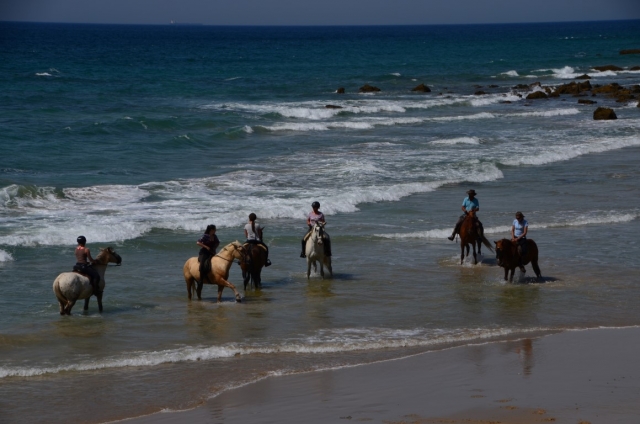 Visitando a caballo la playa de Punta Paloma