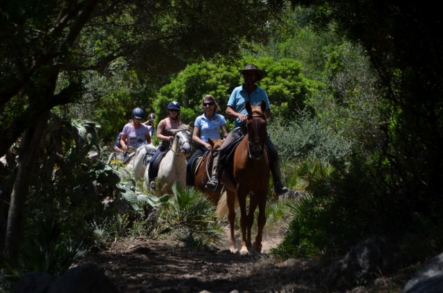Ruta a caballo por bosques gaditanos 