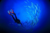 PADI Advanced Open Water course in Ibiza 5 days