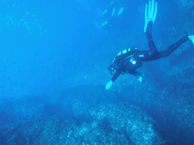 潜水员潜水 