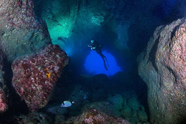  Immersioni spettacolari 