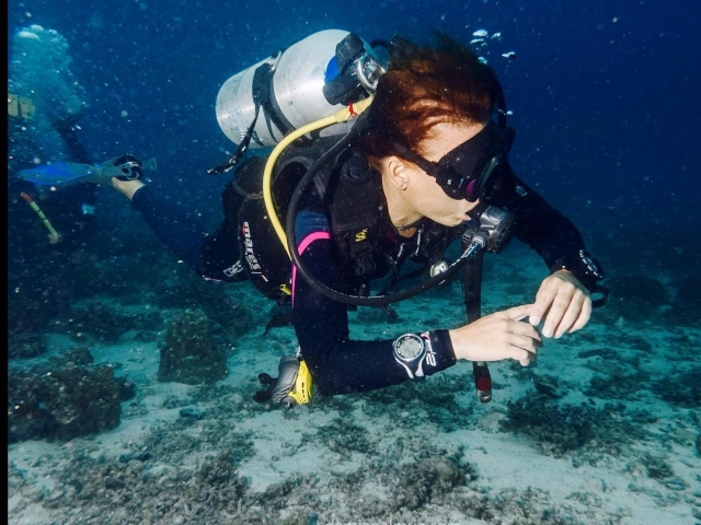  潜水时发现水下生物