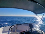 Alquiler de barco sin licencia Muelle Poniente, 3h