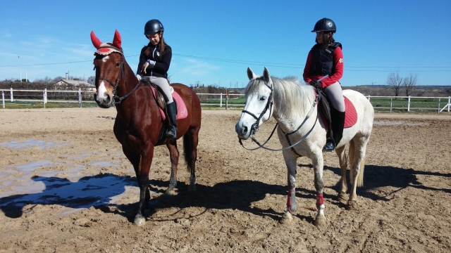 Alumnas sobre los caballos