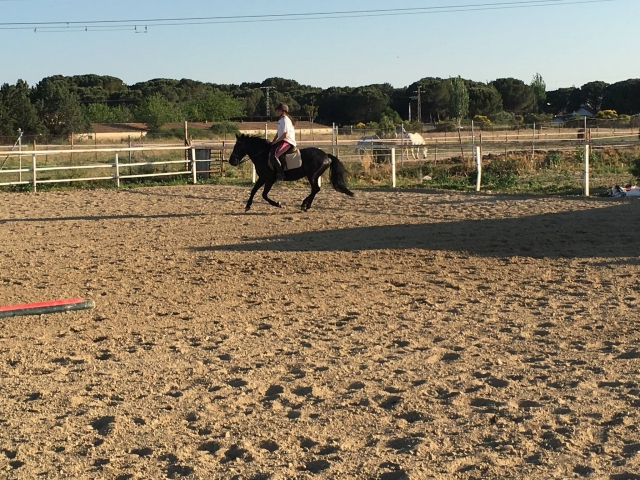 En la pista de arena en la clase de equitación