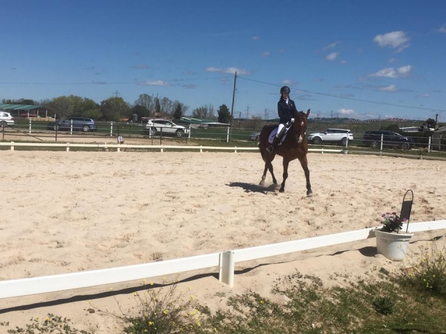 Aprendiendo doma clásica del caballo