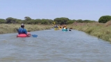 Ruta en piragua por Marisma del Odiel en Huelva
