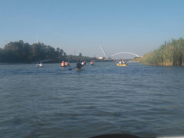 Remando en las canoas por el Guadalquivir 