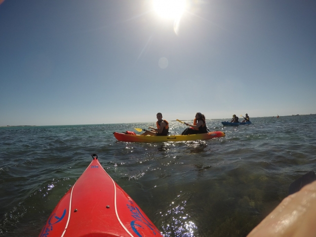 A bord des kayaks à travers l'Atlantique 