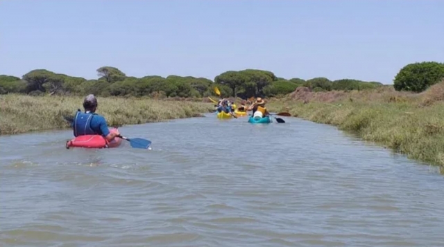  Parcours en canoë à travers les marais de l'Odiel