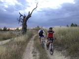 Alquiler de mountain bike por Cabrejas 8 horas