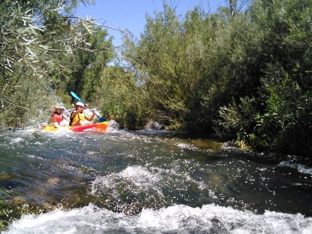  enjoying a day of canoeing 