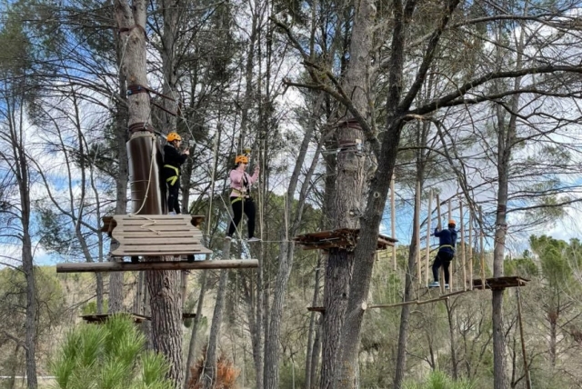 Andar por los arboles en Trillo