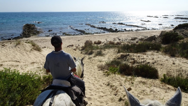  Arrivée à cheval à la plage 