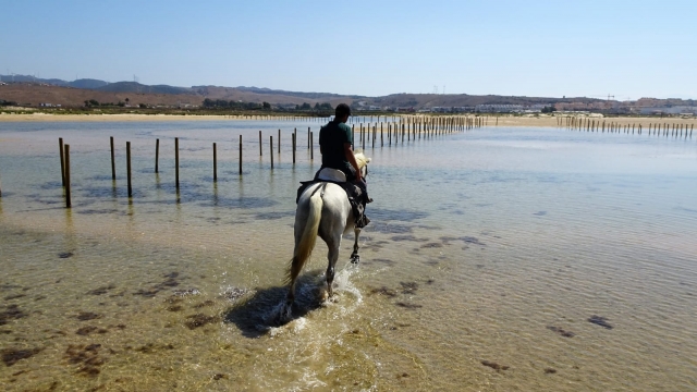  A cheval sur le rivage