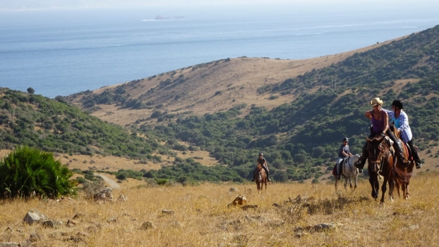 Cabalgamarra junto a la costa