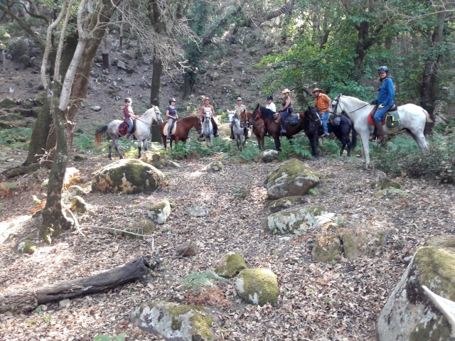 Grupo a caballo por Cádiz
