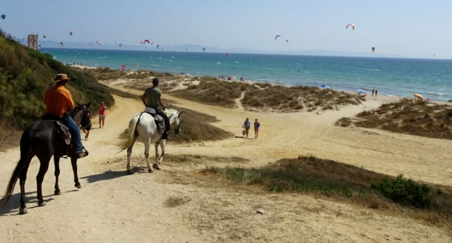 En playa de Bolonia con los caballos