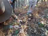 Ruta iniciación micología Sierra de Guadarrama, 4h