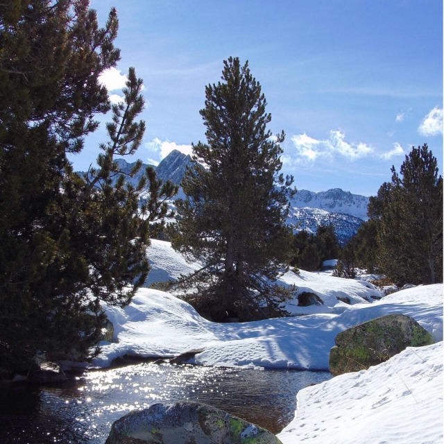 Valle de Moreto nevado