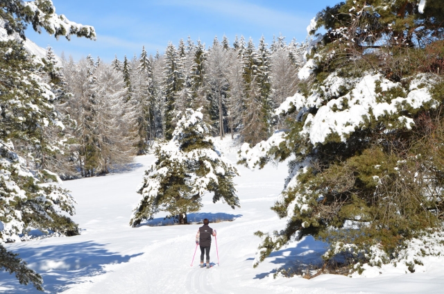  Valle del Moreto 滑雪 