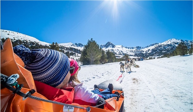 Mushing für Familien 