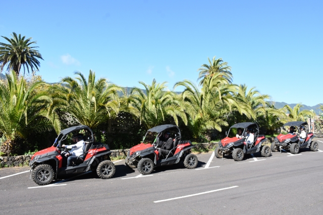  Buggy-Gruppe südlich von Palma 