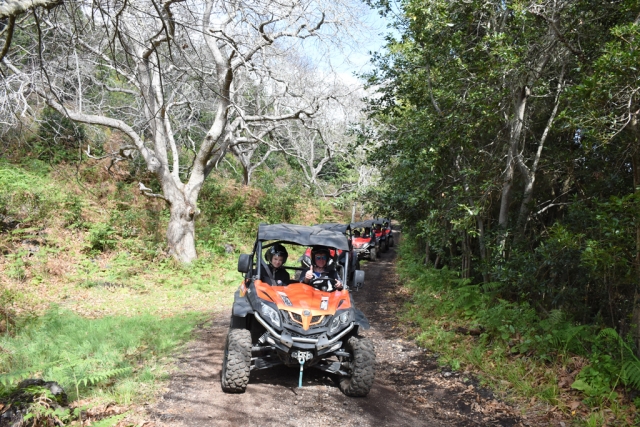  Buggy-Route auf La Palma 