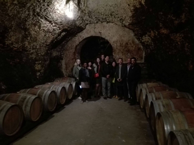  Visite guidée des caves 