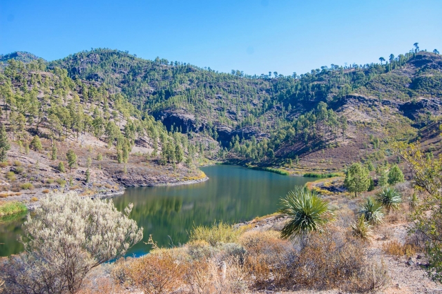  Gran Canaria 
