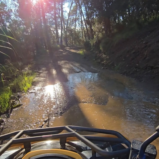 Experiencia en quad por Barcelona