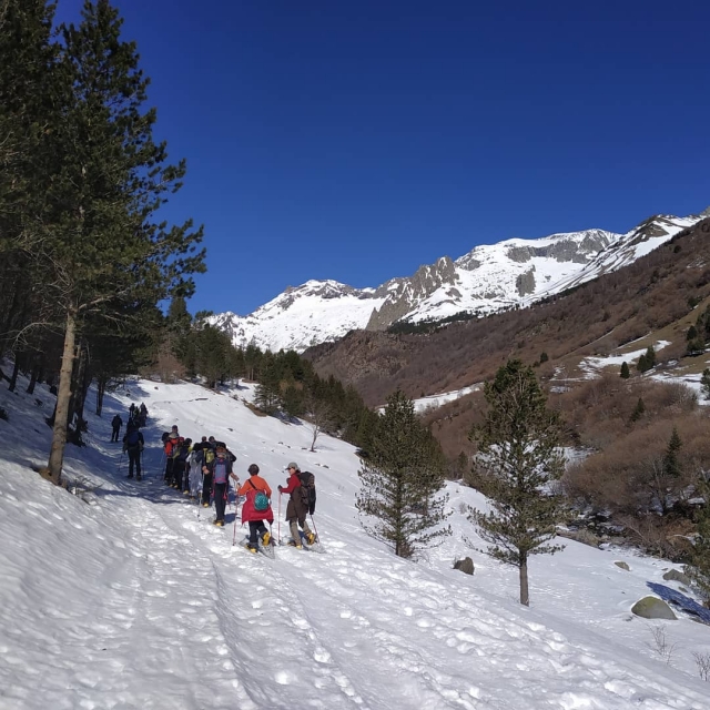  Itinéraire en raquettes en groupe 